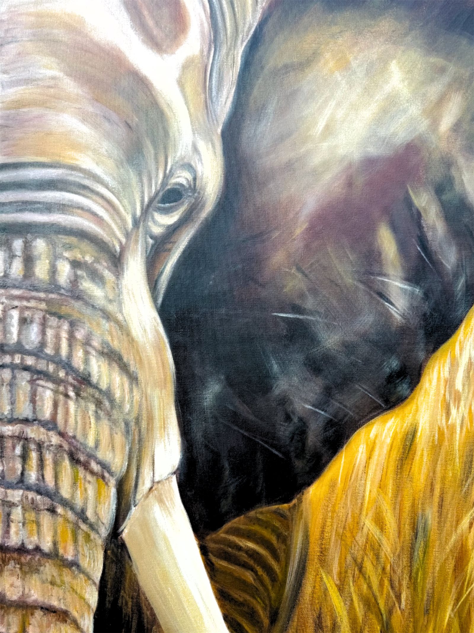 Elephant fine art print by Veronda Jones